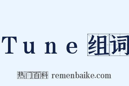 Tune组词是什么意思的图片